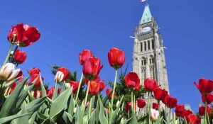 Canada Emergency Wage Subsidy: Public Listing of Applicants